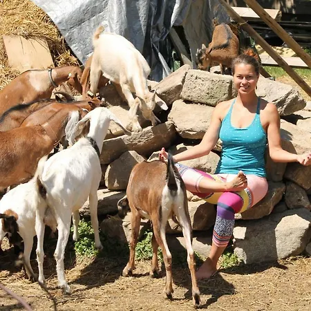 Adnev Bohemia * Kunžak
