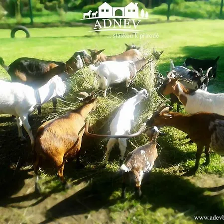 Alojamento de Turismo Rural Adnev Bohemia *