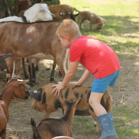 Alojamento de Turismo Rural Adnev Bohemia