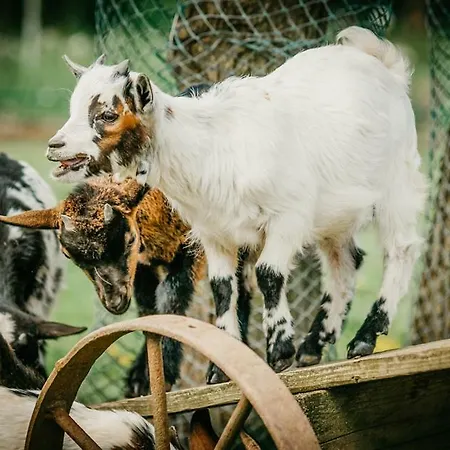 Alojamento de Turismo Rural Adnev Bohemia Kunžak