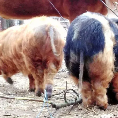 Adnev Bohemia Alojamento de Turismo Rural
