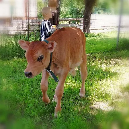 Alojamento de Turismo Rural Adnev Bohemia Kunžak