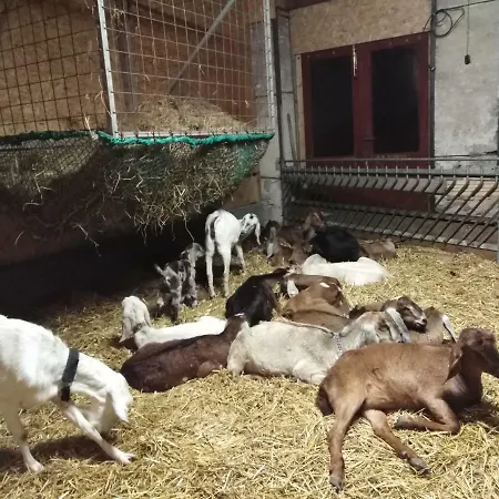 Adnev Bohemia Alojamento de Turismo Rural Kunžak